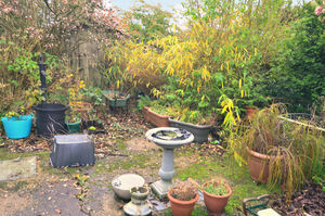 Garden- click for photo gallery